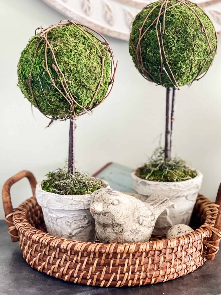moss topiaries