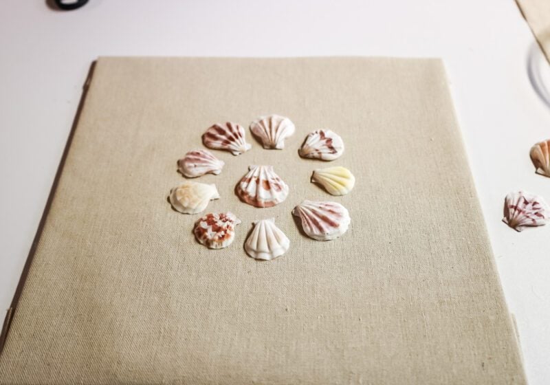 making a shell shadow box