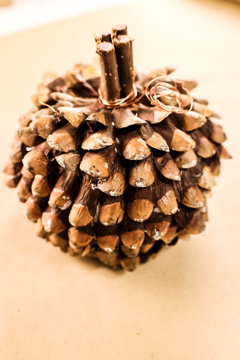 DIY Pine cone jpumpkin