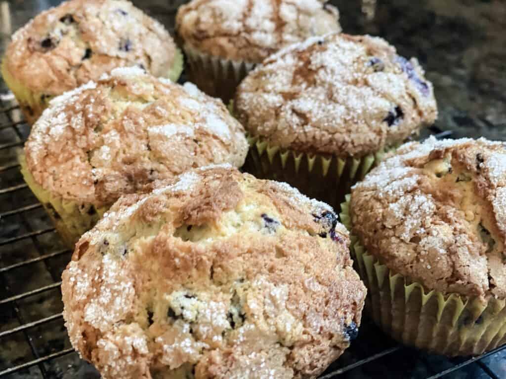 Jordan Marsh Blueberry Muffins