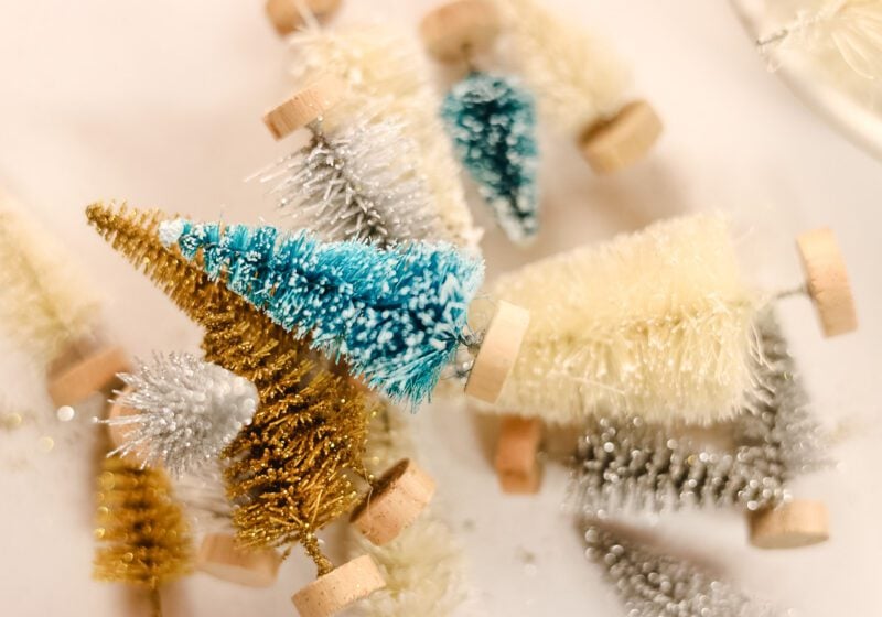 mini bottle brush trees