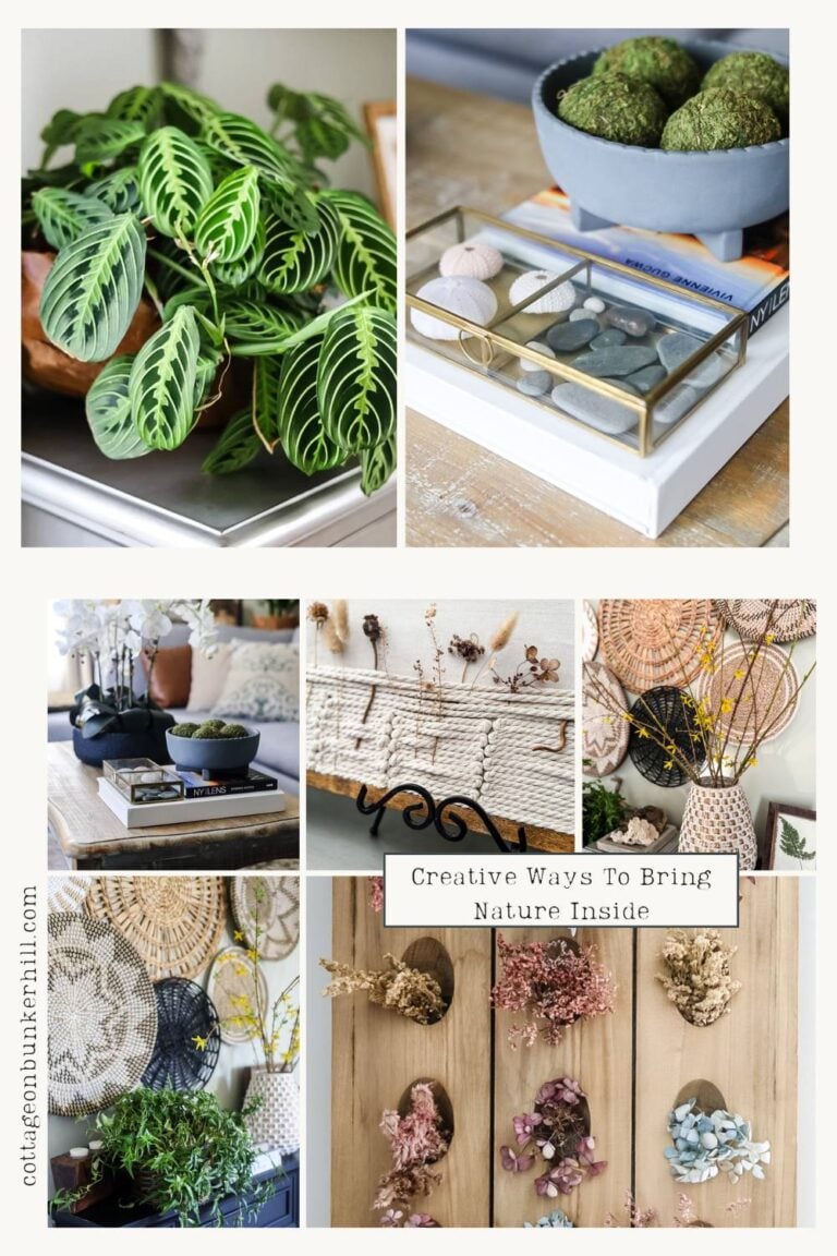 No Garden? No Problem! Creative Ways to Bring Nature Inside Your Home