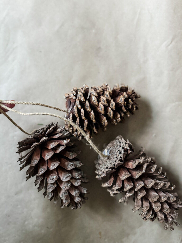 3 large pinecones with jute cord glued to them