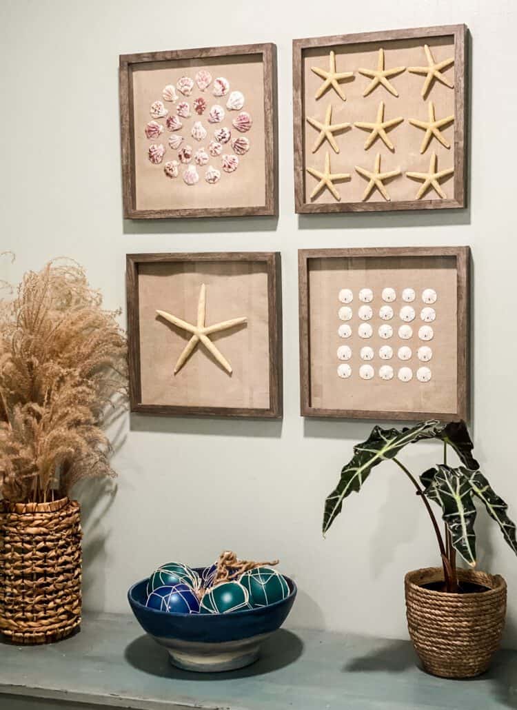 DIY seashell shadow boxes
