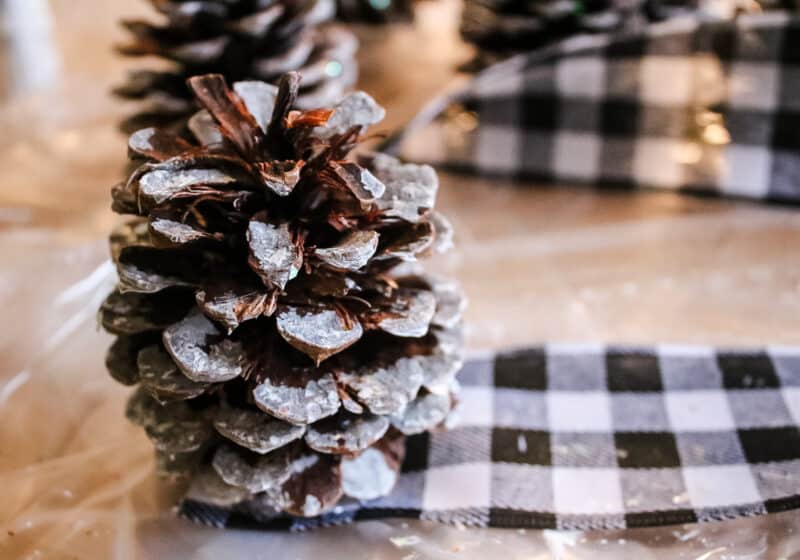 making a pine cone door swag