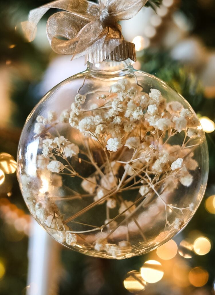 ornament filled with dried baby's breath
