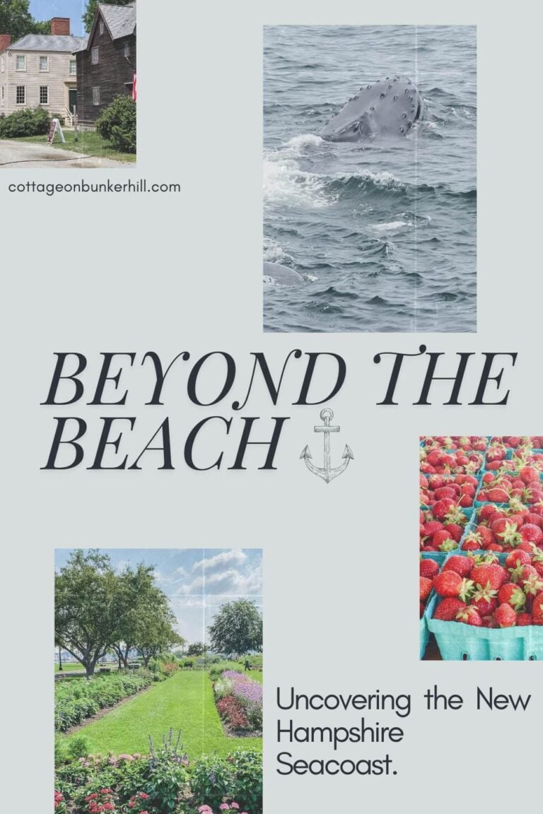 Beyond the Beach: Uncovering the New Hampshire Seacoast