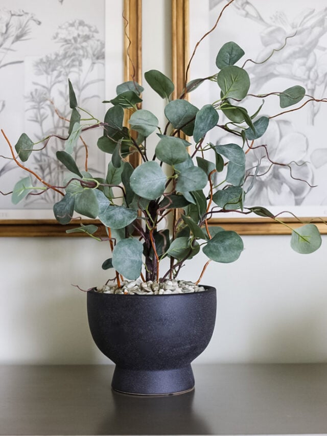 potted artificial eucapluptus plant