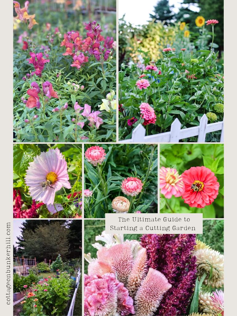 The Ultimate Guide to Starting a Cutting Garden in 2025 