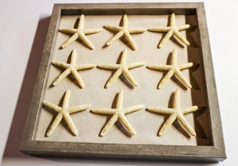 star fish shadow box