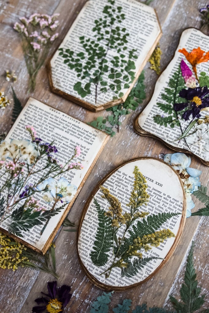 styled photo of pressed flower plaques with pretty flowers
