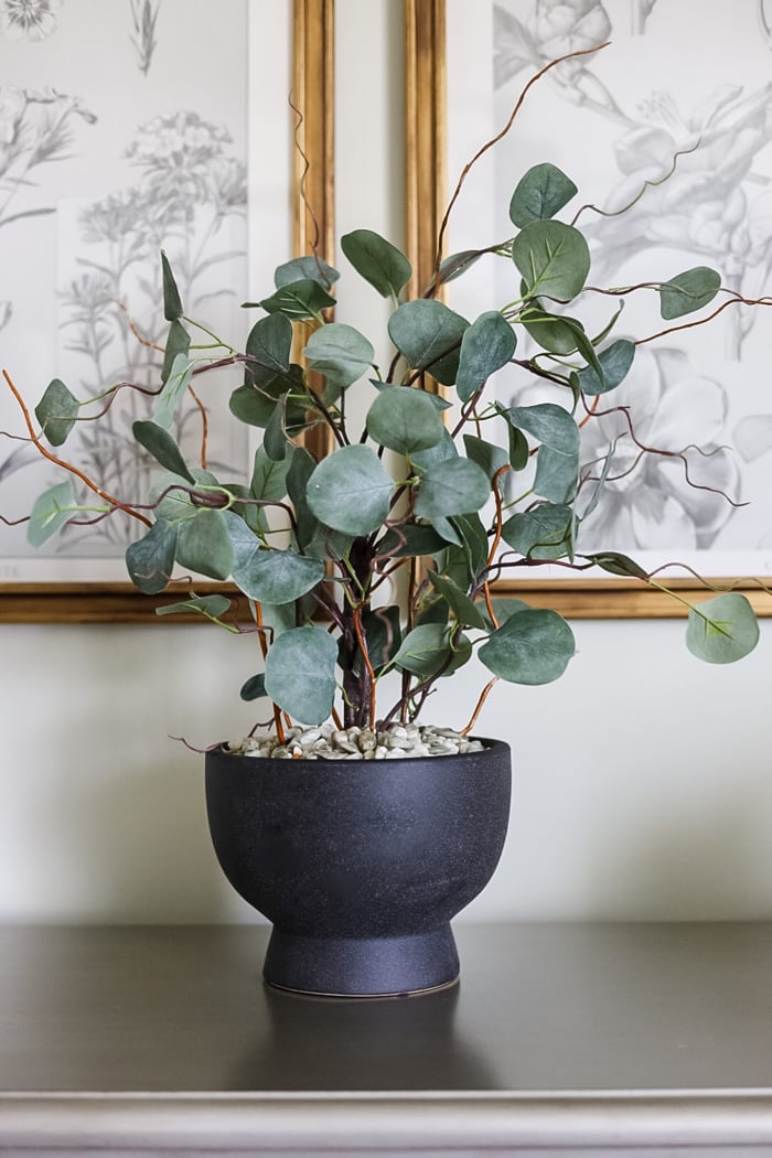 potted artificial eucapluptus plant