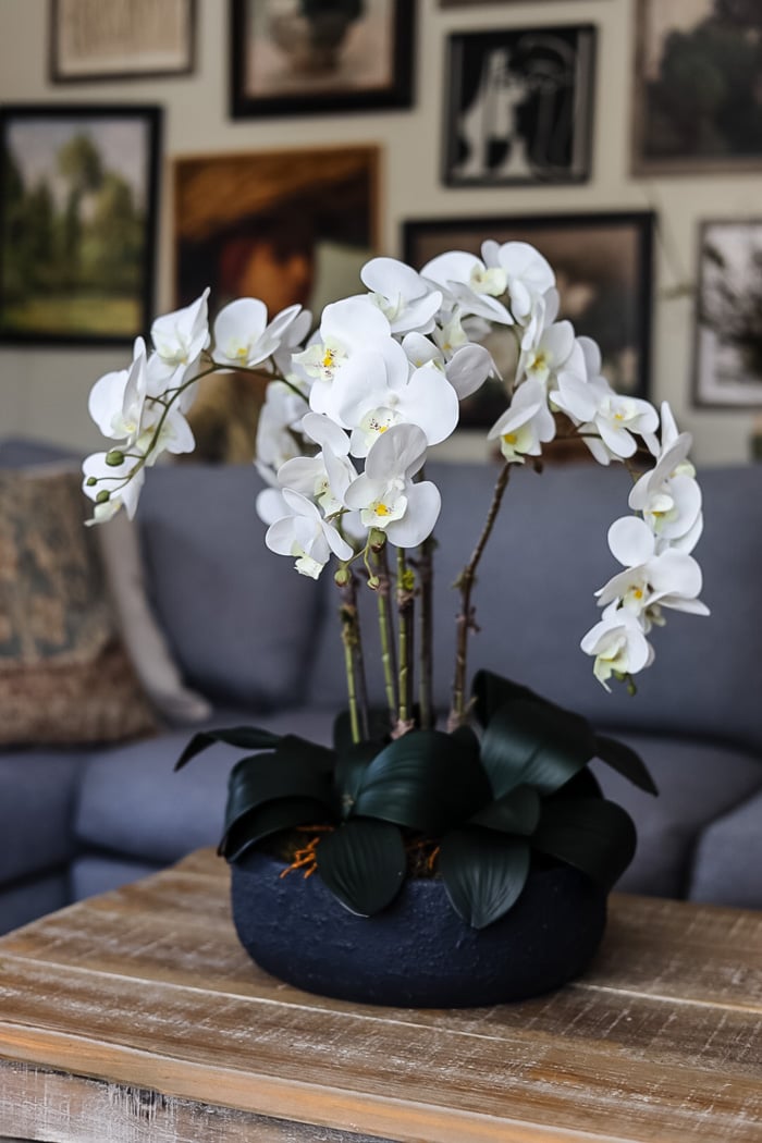 orchid arrangement on a coffee table