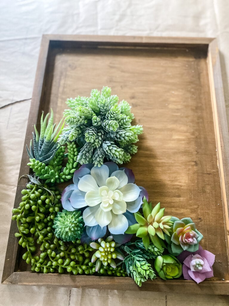 overview of making succulent wall art with artificial succulents