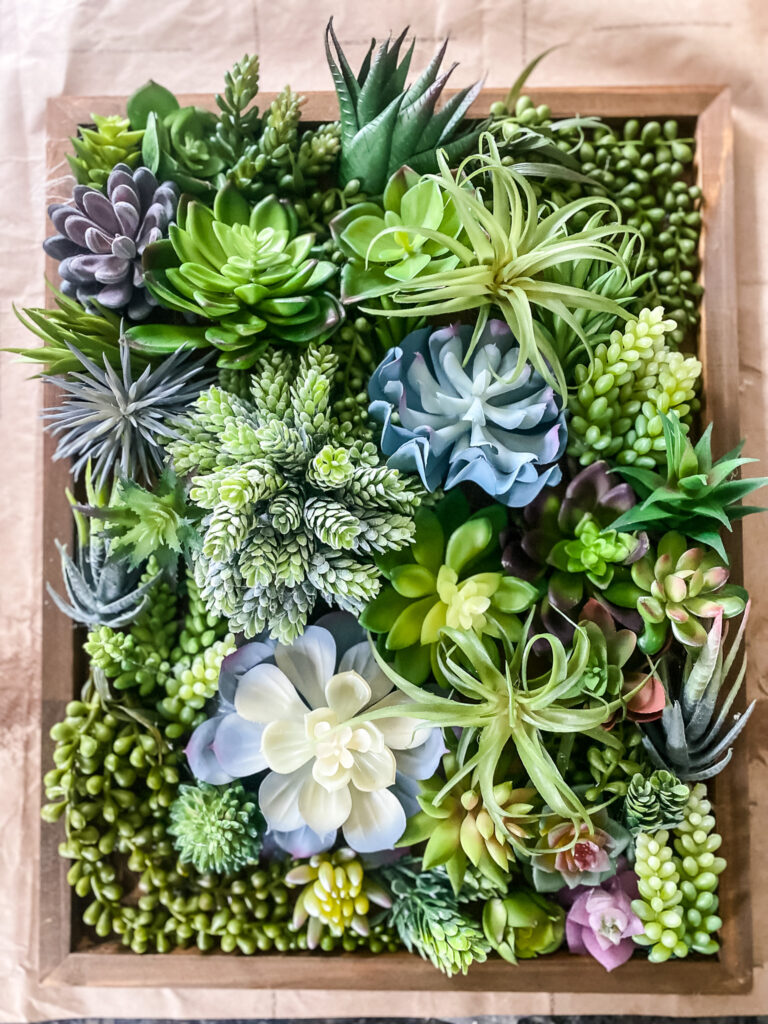 diy succulent wall art