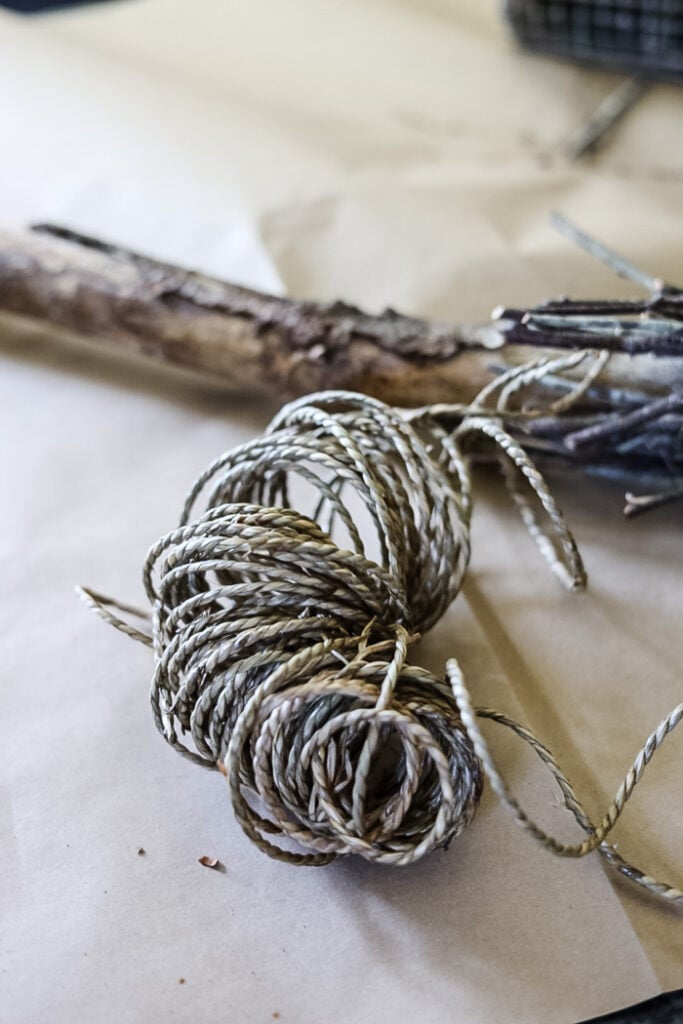 seagrass rush for witch broom.