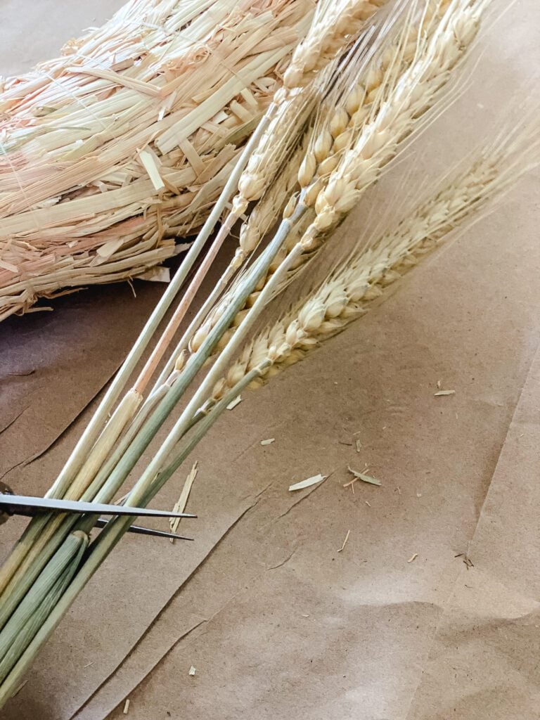 trimming dried wheat stems