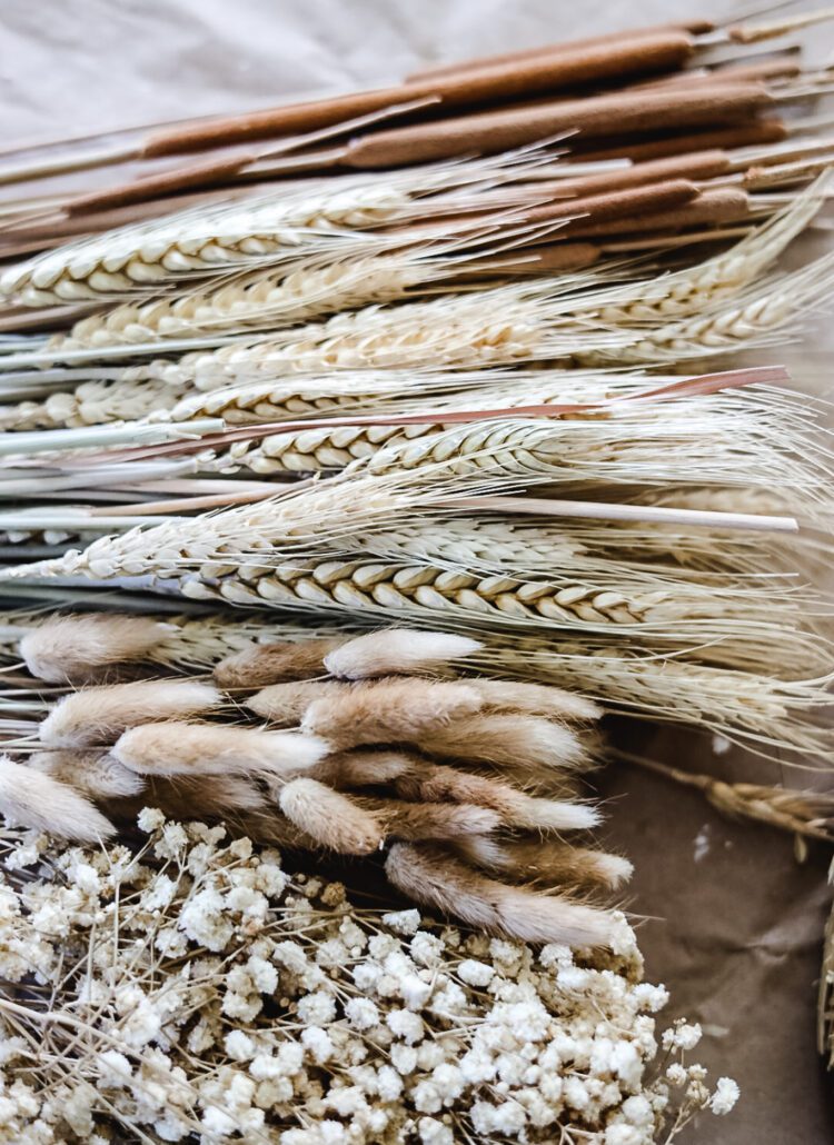 assorted dried flowers
