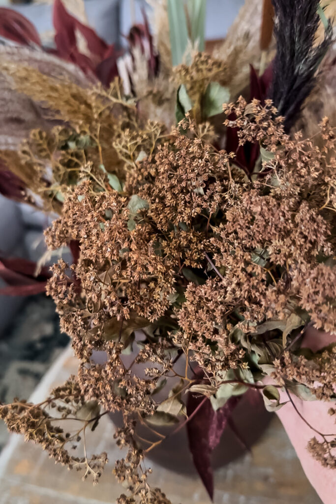 dried spirea flowers