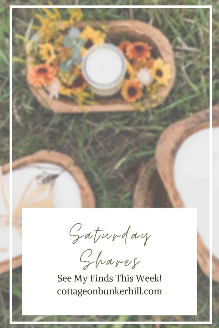 Saturday Shares- Week 6.