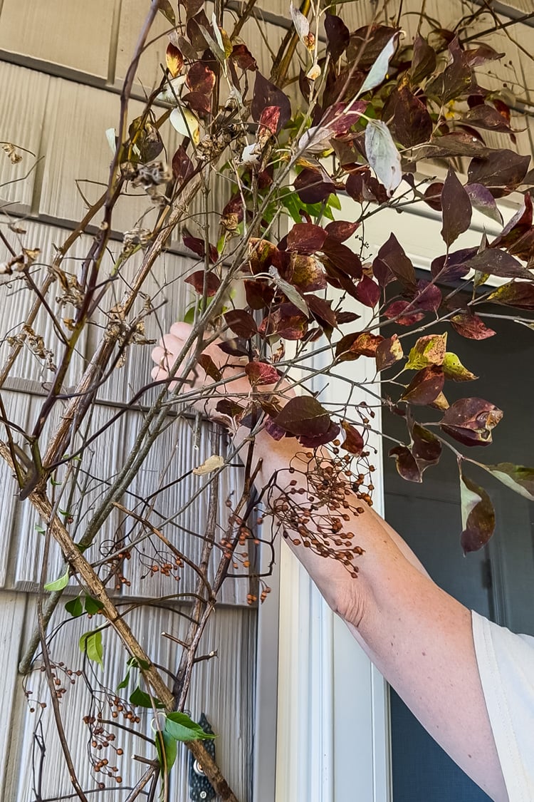 putting fall garden cuttings around a front door