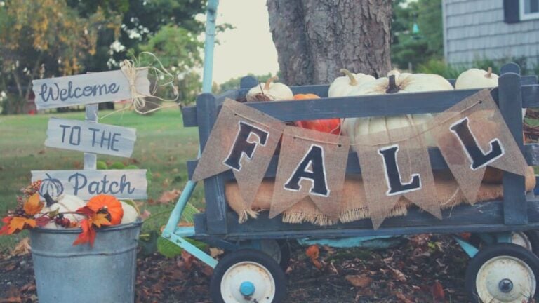 Outdoor fall decor