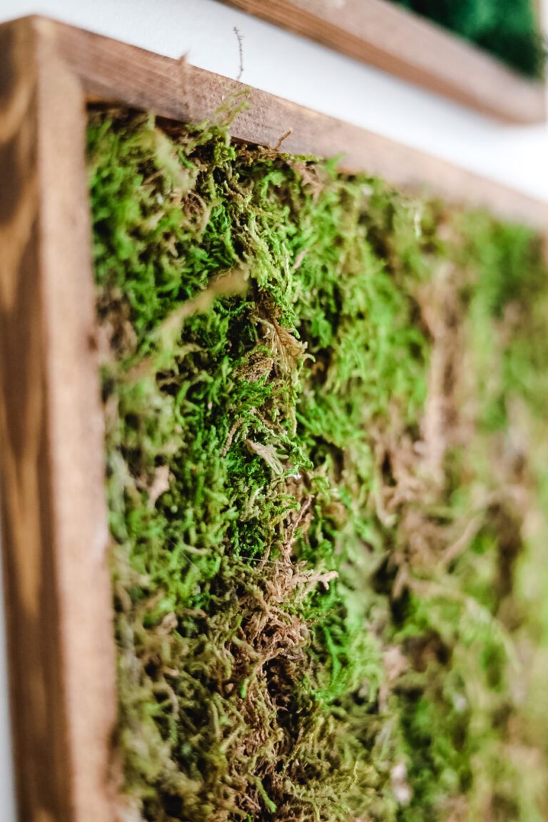 How To Make DIY Moss Wall Art