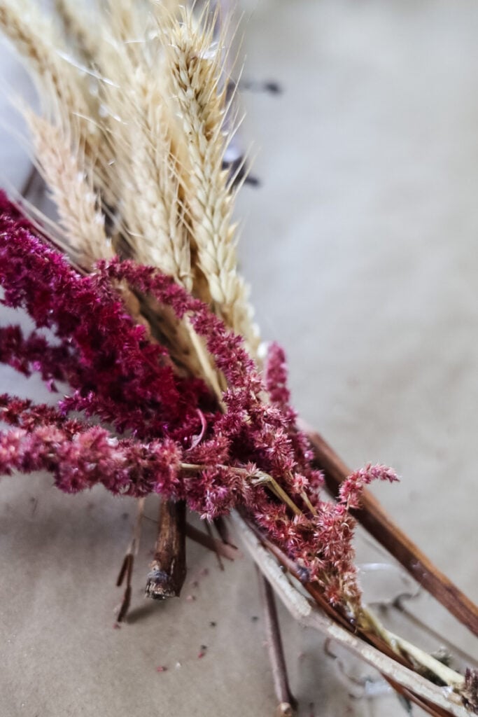 amaranth and dried wheat