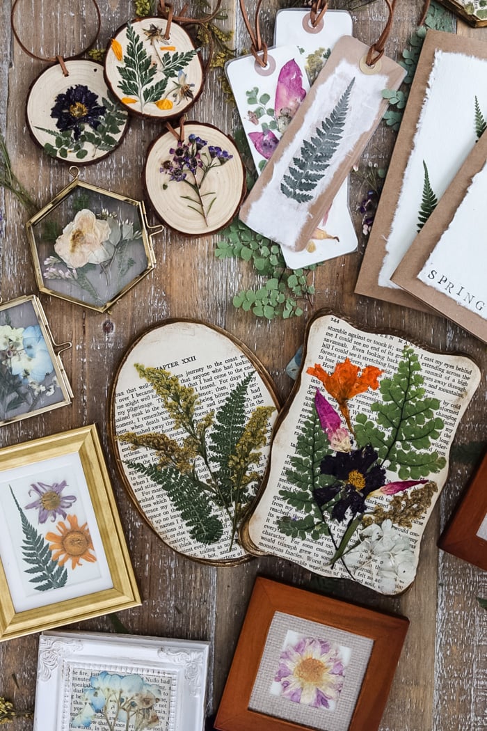 Pressed Flower DIY Projects: A Roundup of Beautiful Creations