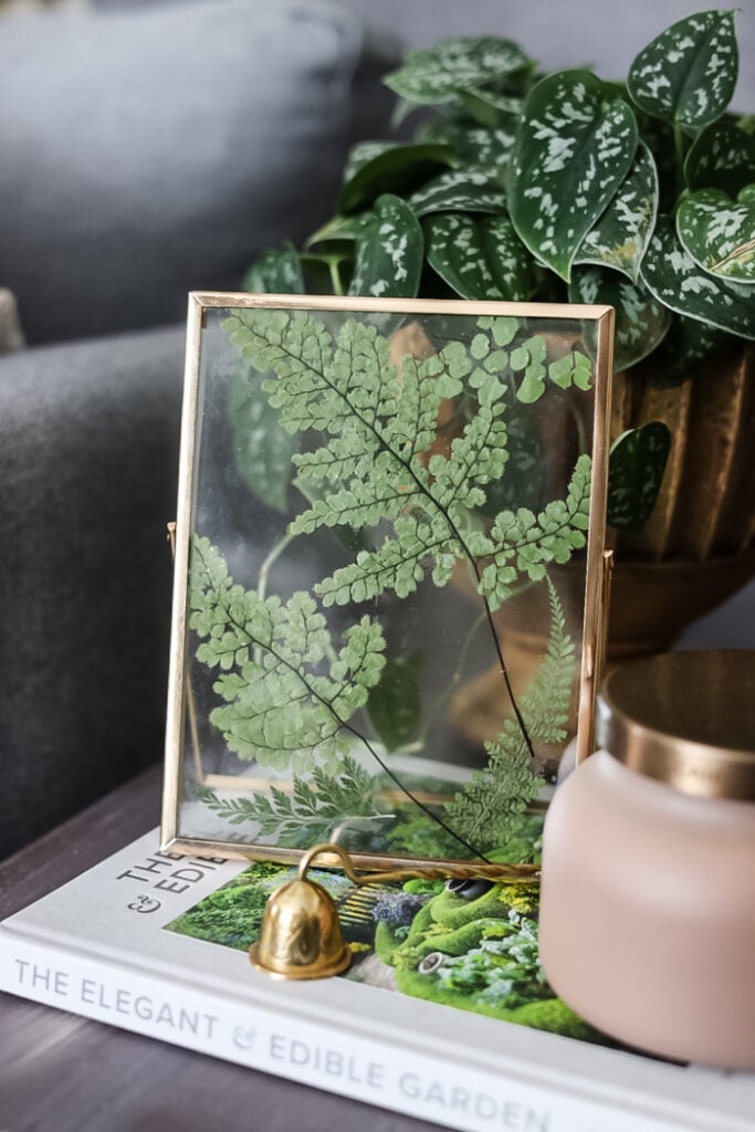 framed fern leaf frame