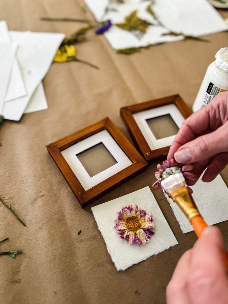 brushing mod podge on the back of a pressed flower to make framed art
