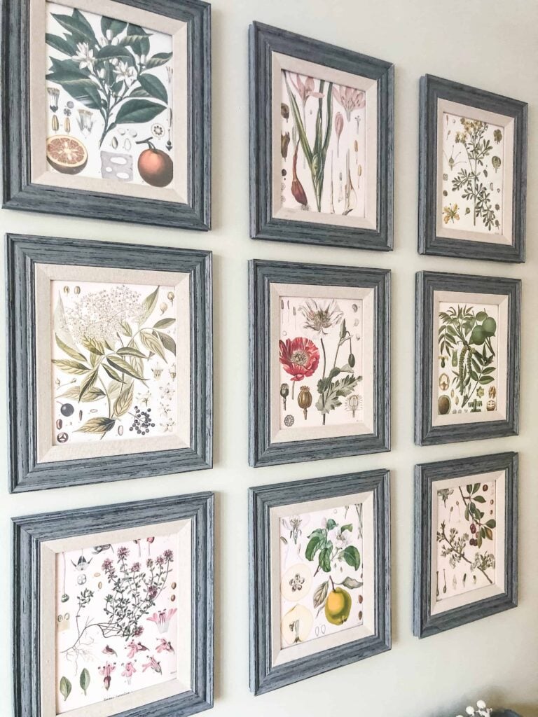 botanical print gallery wall