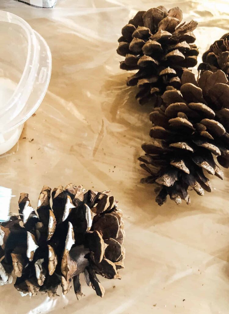 painitng pine cones to make a door swag