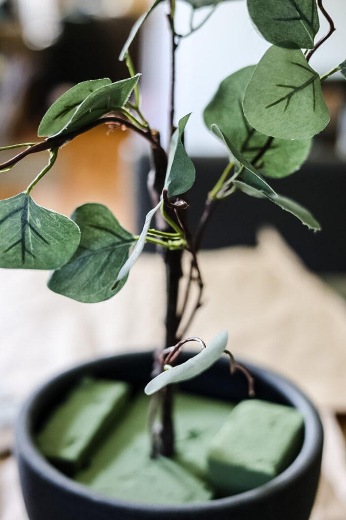 attaching eucalyptus stems to a branch