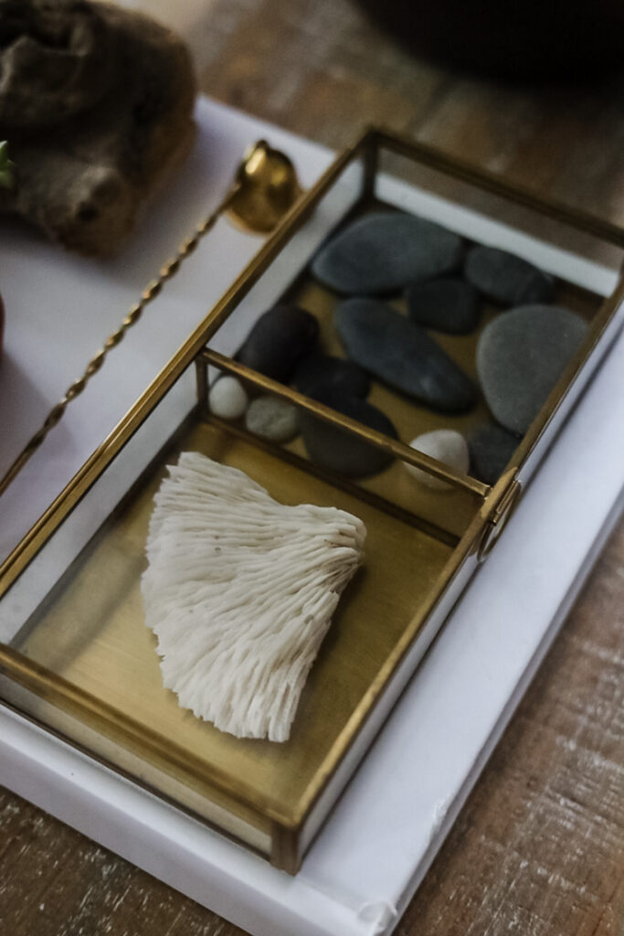 brass and glass trinket box with rocks and shell