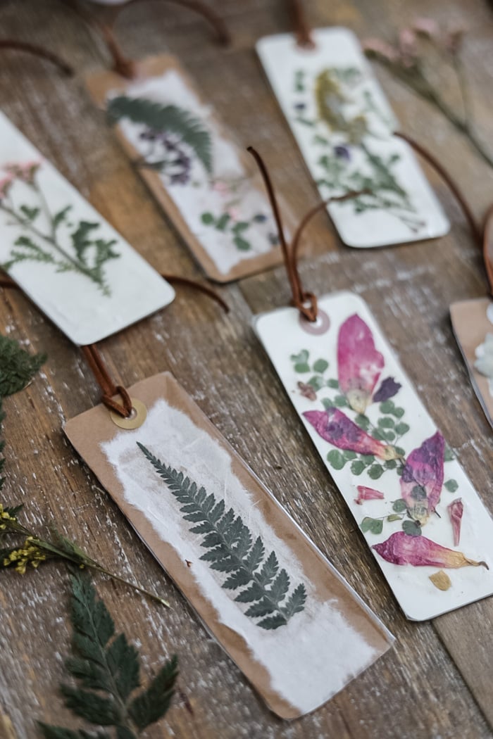 a set of pressed flower bookmarks displayed with dried flowers