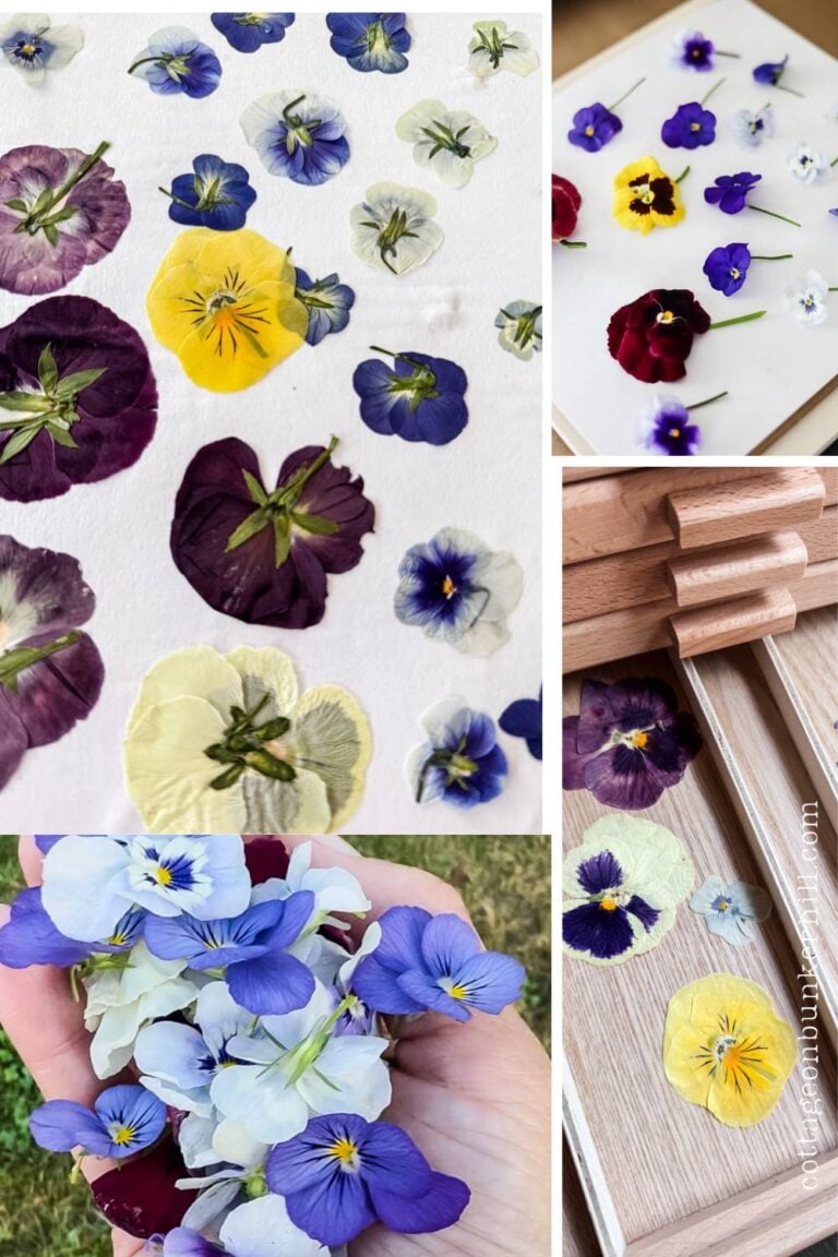 Stop Wasting Flowers! 4 Foolproof Ways to Press Blooms Like a Pro