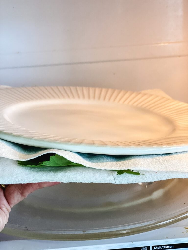 white plate going into the microwave