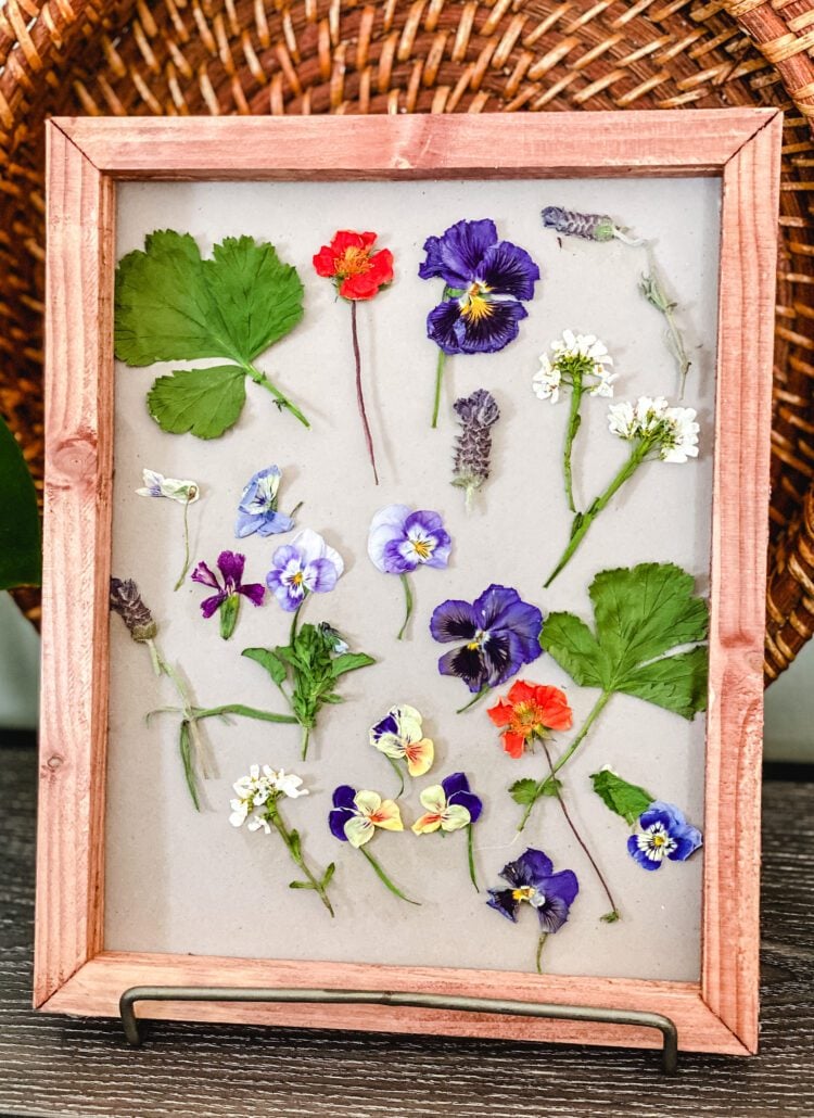 framed art with pressed flowers