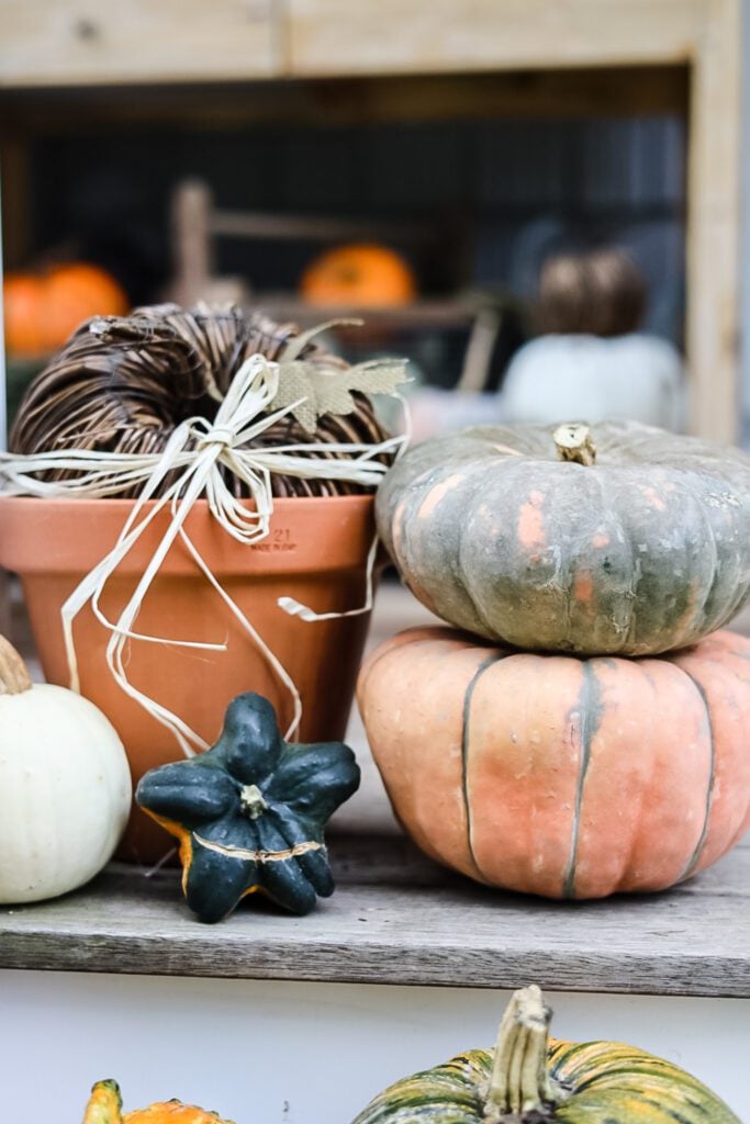 pumpkins, pot with pumpkin and gourds