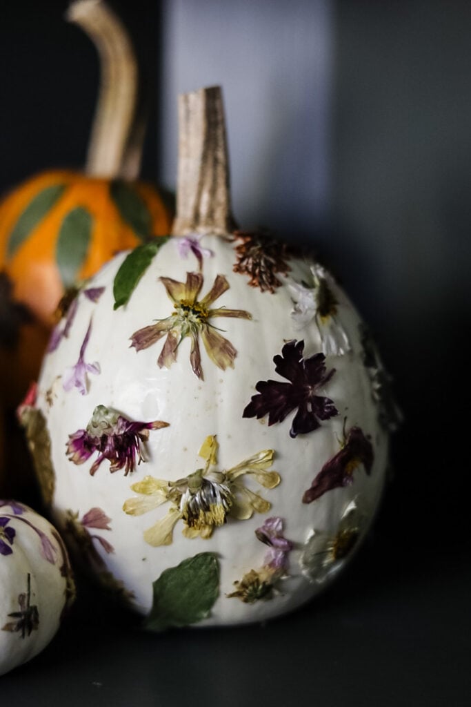 pressed flowers on a white pumpkin