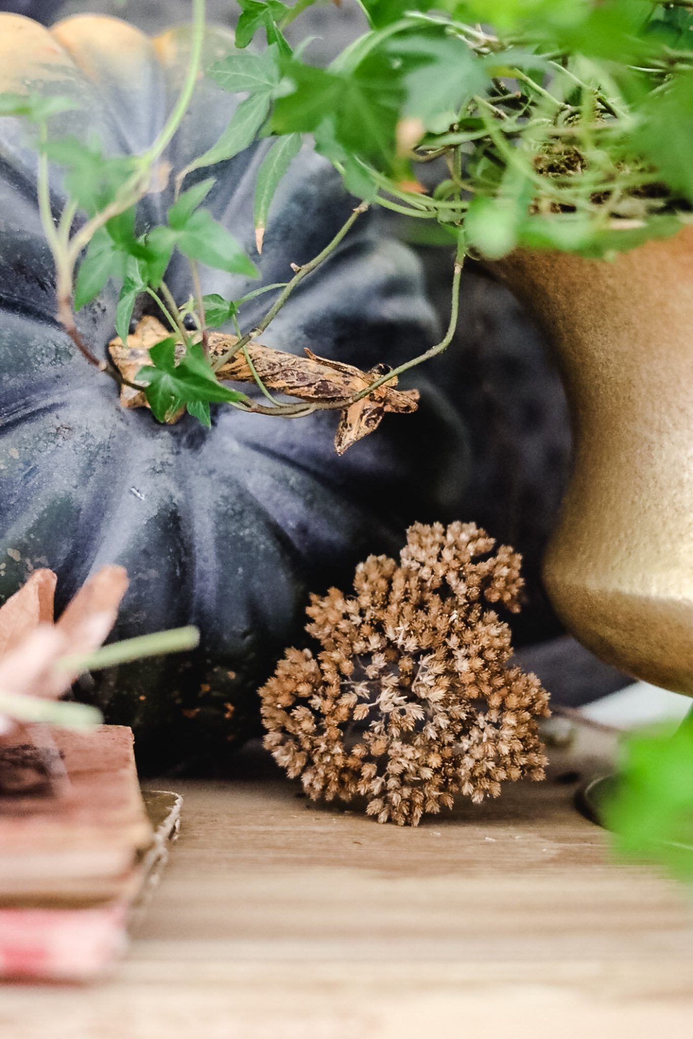close up of pumpkin and dried flower