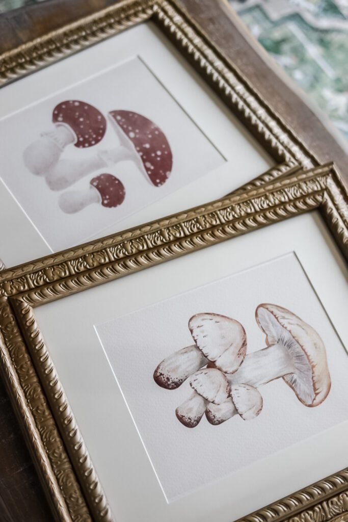 2 mushroom prints in gold vintage looking frames
