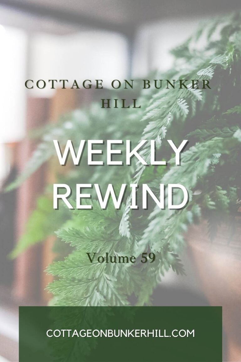 weekly rewind graphic