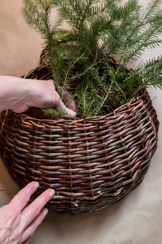 adding fresh greenery to a hanging door basket for winter.