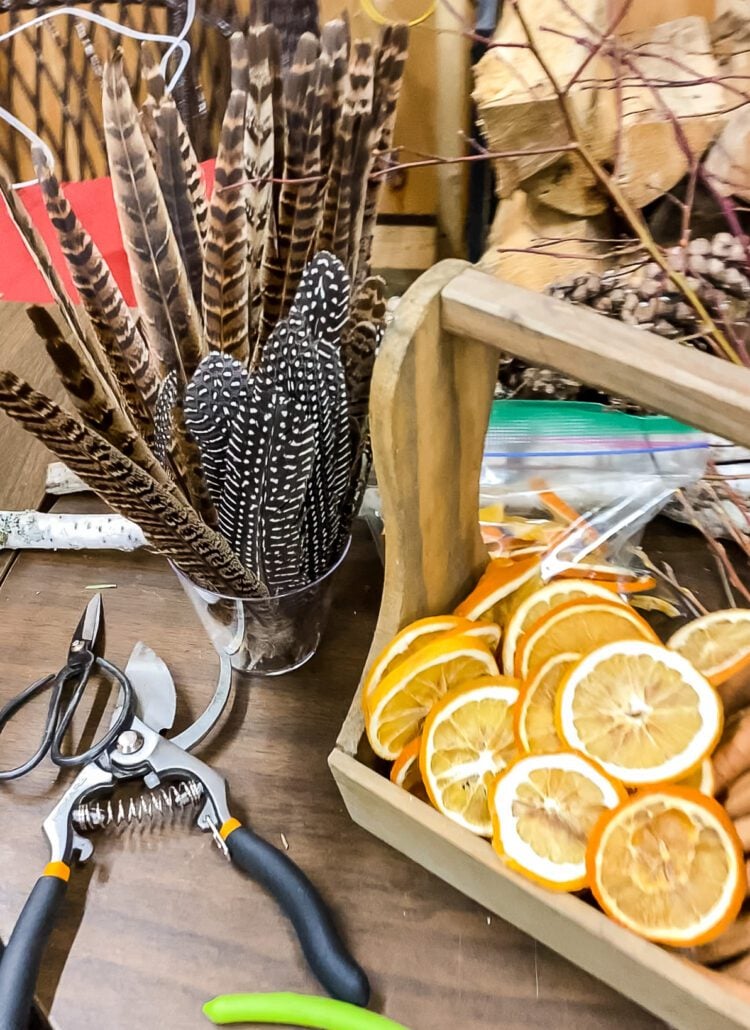 feathers and dried oranges