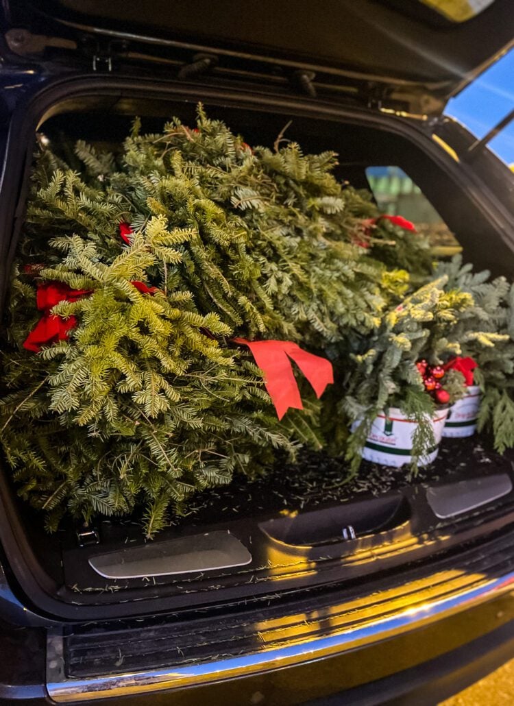 car trunk full of wreaths