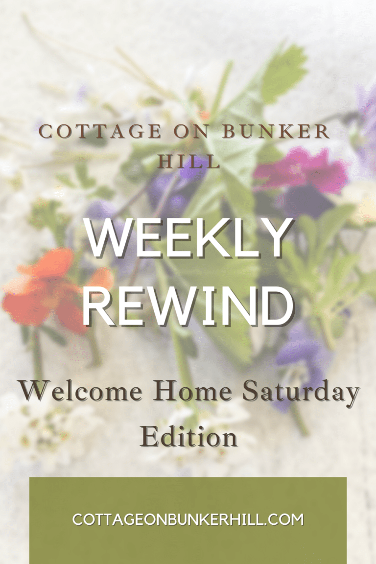Weekly Rewind | Welcome Home Saturday Edition